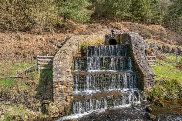 Woodhead - Landscapes