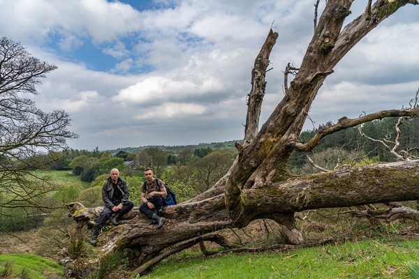 Chorley - Landscapes