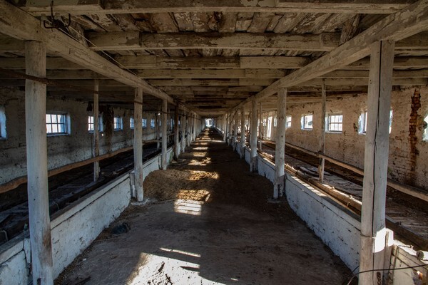 Pig Farm - Chernobyl, Pripyat & Duga Radar