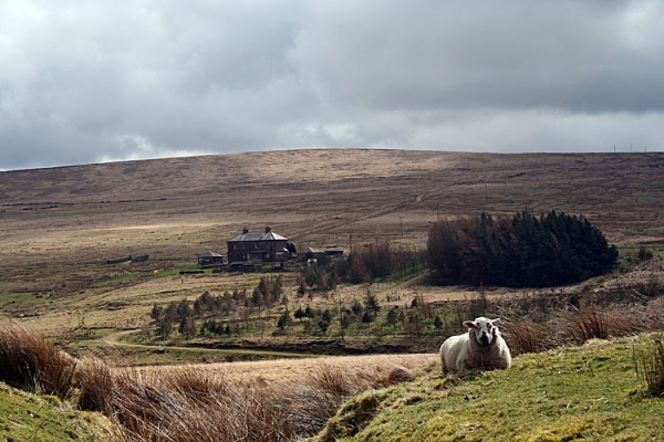 landscape photography, landscape