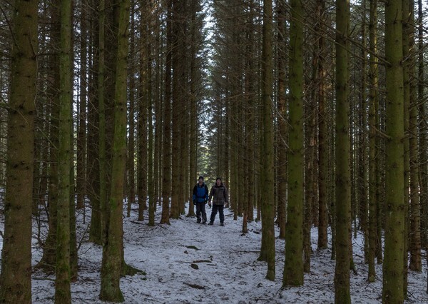 Langsett - Landscapes