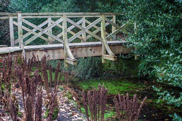 Dunham Massey - miscellaneous