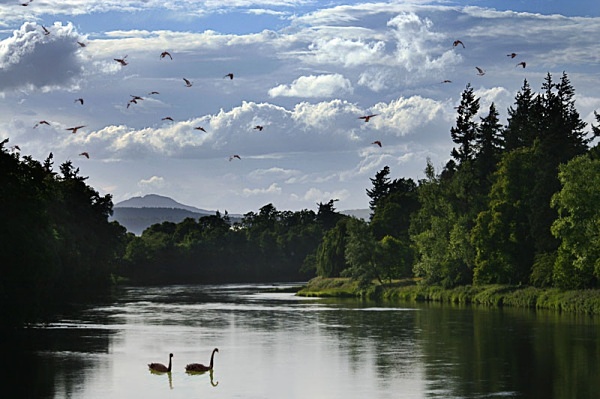 river tay perthshire edited - Photoshop Work