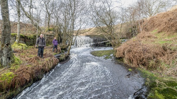 Belmont - Landscapes