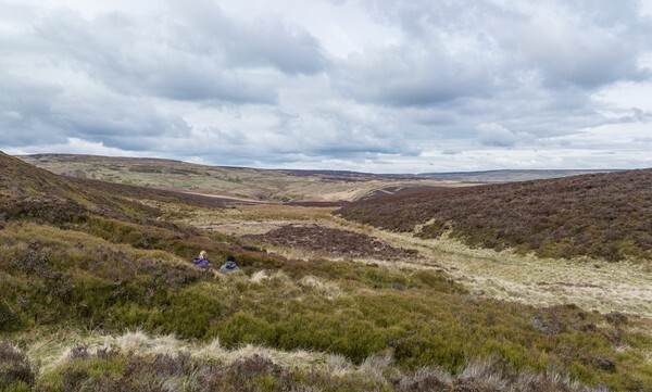 Woodhead - Landscapes