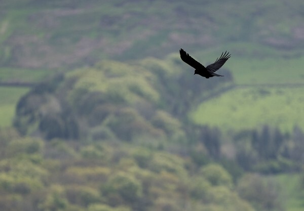 Forest of Bowland - miscellaneous