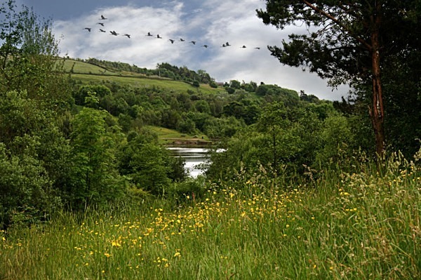 Landscape Photography landscape moorland m62 dovestone canon 100d nature saddleworth moor isle of man obolisk landscape photography peter costello