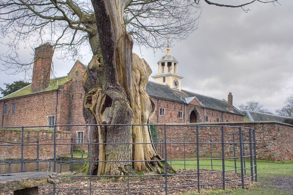 Dunham Massey - miscellaneous