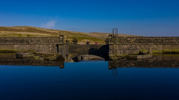 Winter Lambs - miscellaneous