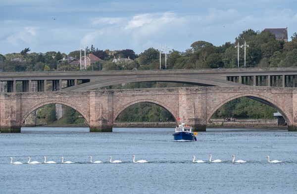Berick Upon Tweed - Landscapes
