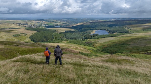 Twizle Head Moss - Landscapes