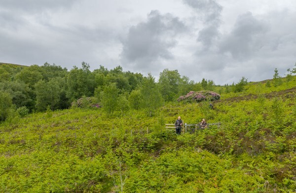 Redmires - Landscapes