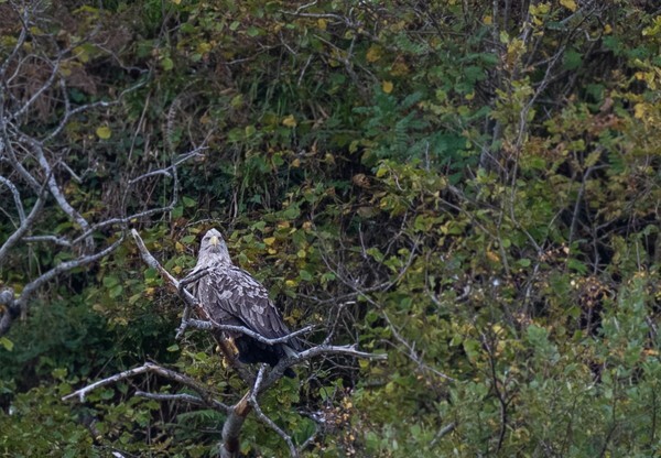 Isle of Skye - Landscapes