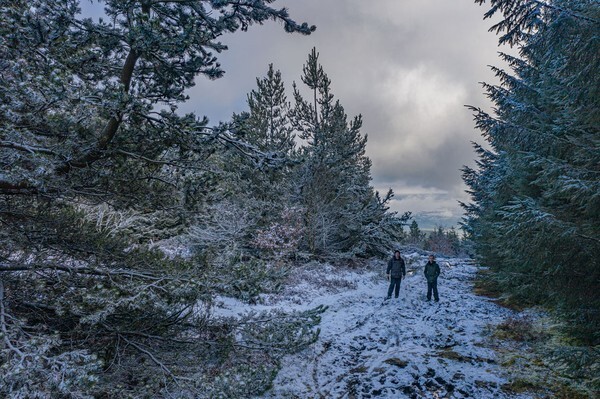 Forest of Bowland - Landscapes
