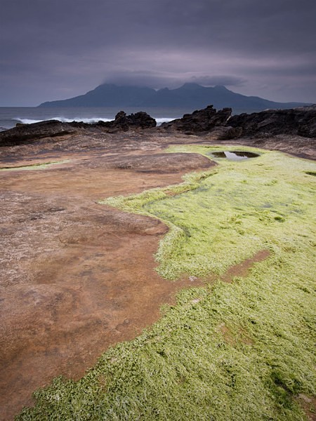 Smiley - Eigg Trips