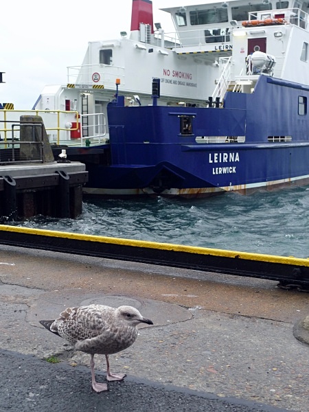Waiting for the Ferry - Shetland