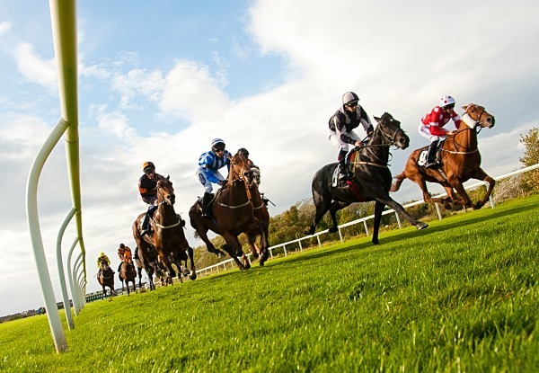 At The Races - Sporty stuff