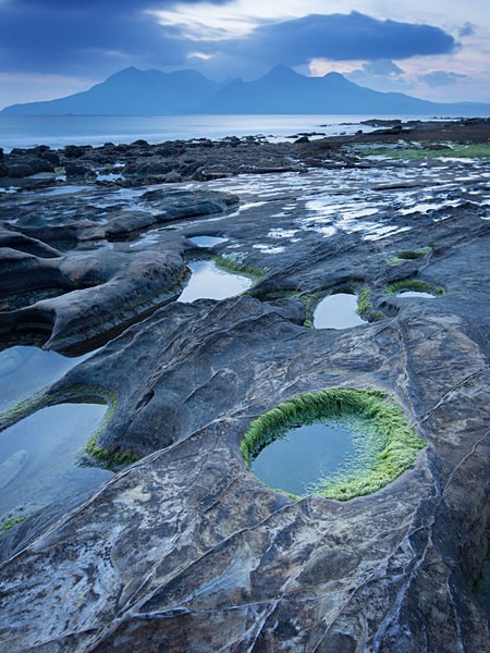 Rockpool - Eigg Trips