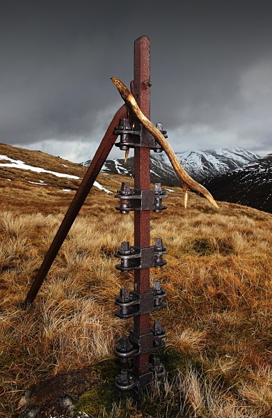 Young and Old - Scottish Landscapes