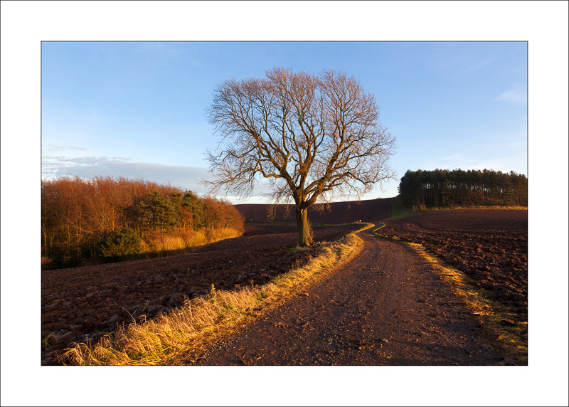  - Robin Hood Hill