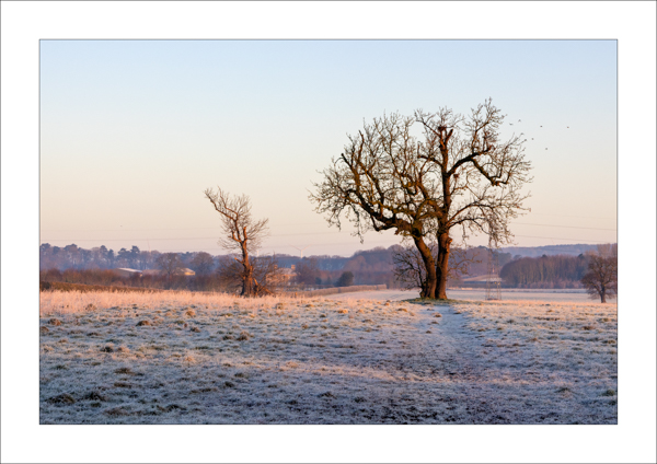  - Photography Review 2025