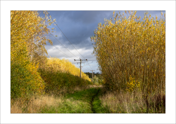  - Photography Review 2025