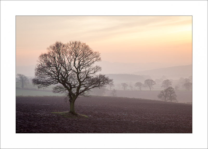  - Robin Hood Hill