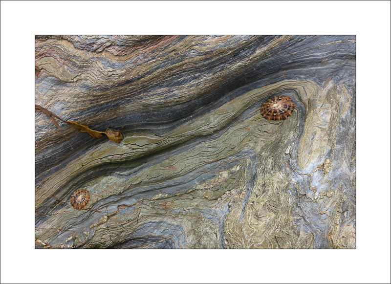  - Rock Studies - Cornwall 2