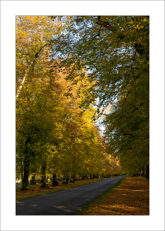  - Clumber Park