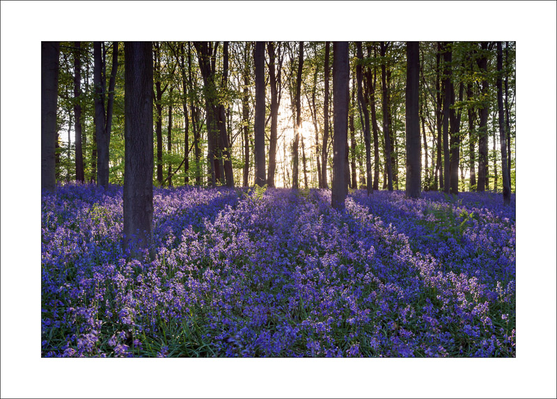  - Clumber Park