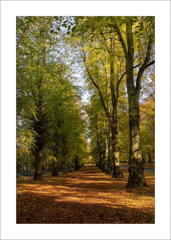  - Clumber Park