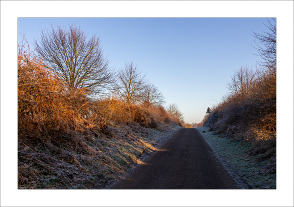  - Photography Review 2025