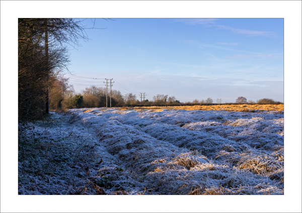  - Photography Review 2025