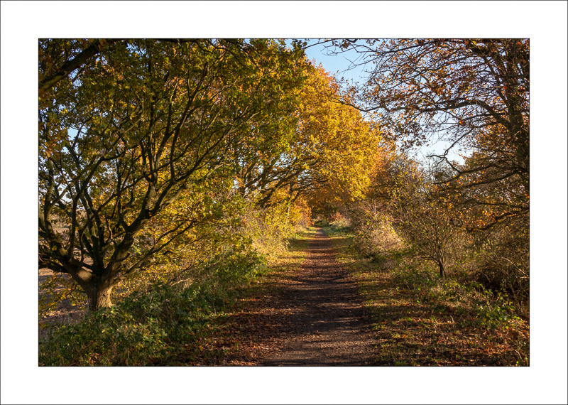  - Southwell Trail in Autumn