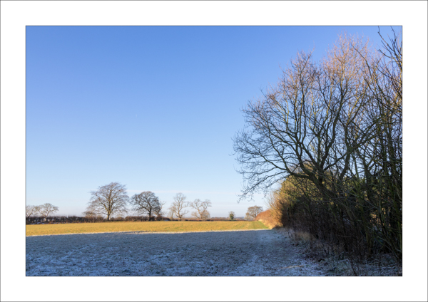  - Photography Review 2025