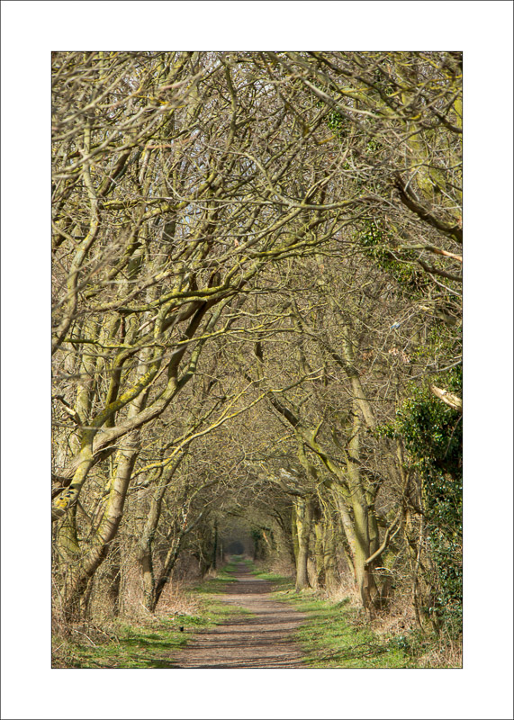  - Southwell Trail in Winter