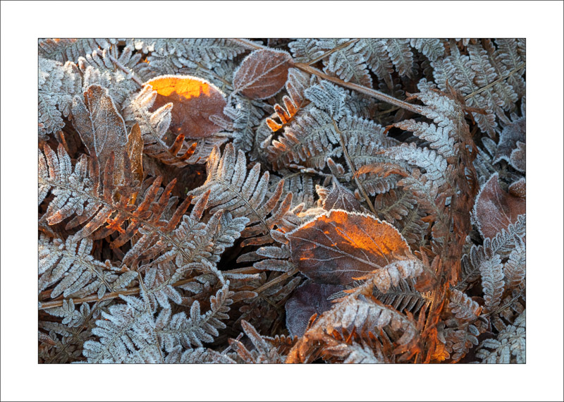  - Southwell Trail in Winter