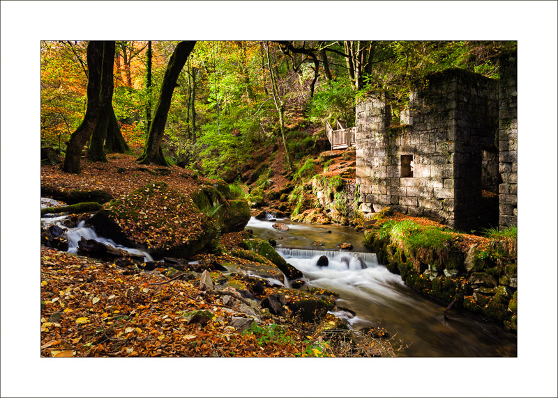 Kennall Vale - Cornish Landscapes