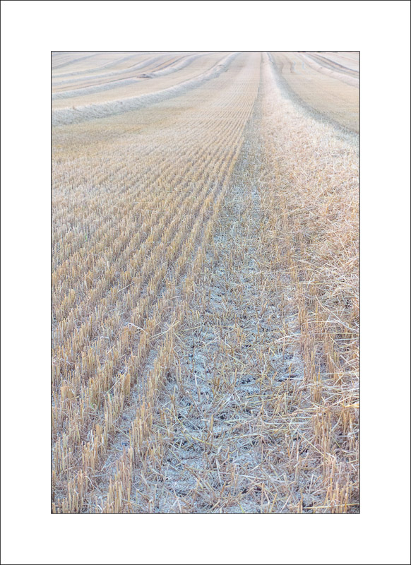 - Land and Sky
