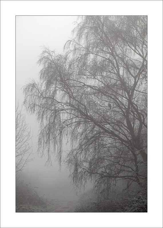  - Southwell Trail in Winter