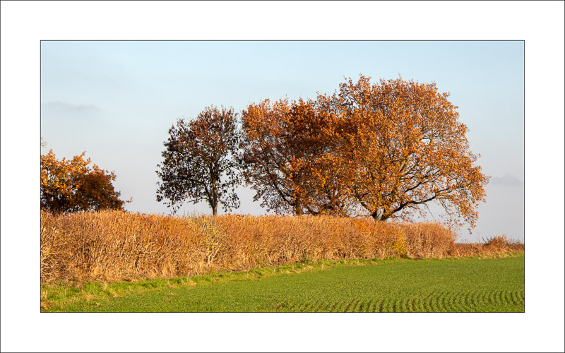 - Farnsfield
