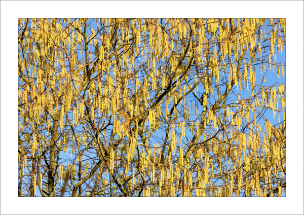  - Photography Review 2025