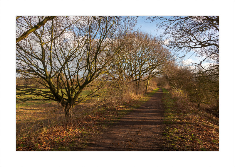  - Southwell Trail in Winter