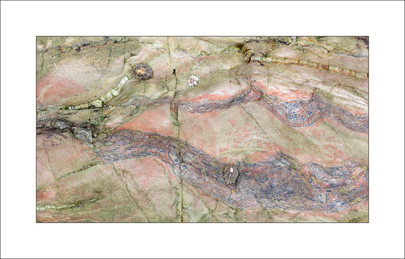  - Rock Studies - Cornwall 2