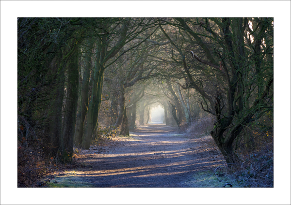  - Photography Review 2025