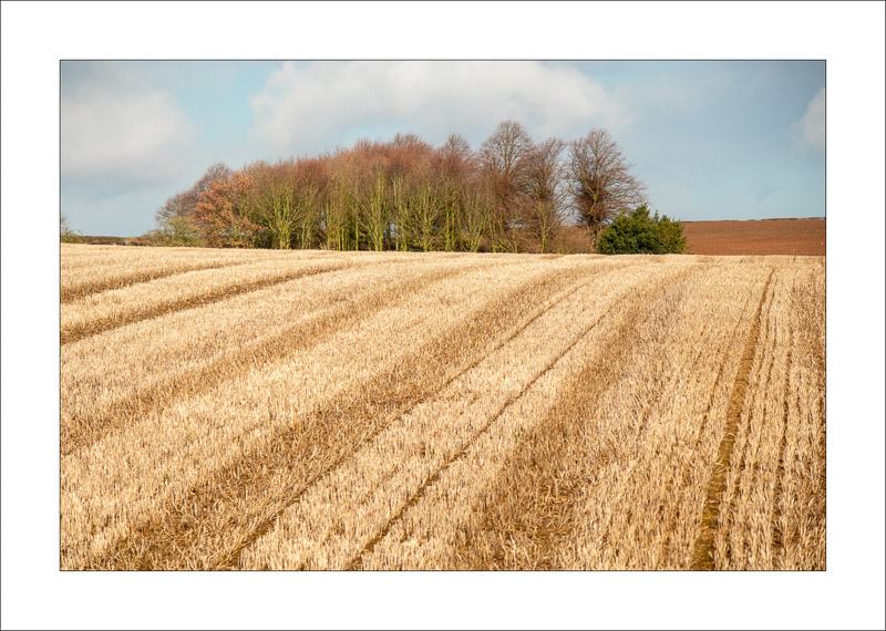  - Southwell Trail in Winter