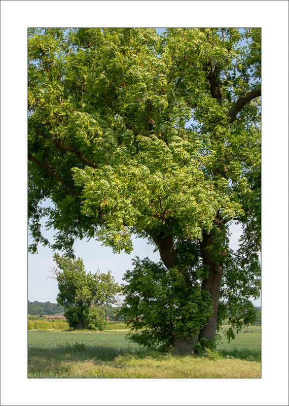  - Southwell Trail in Spring and Summer