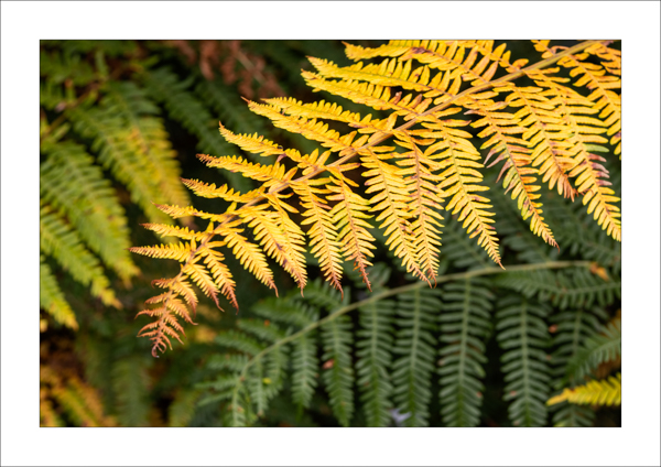  - Photography Review 2025