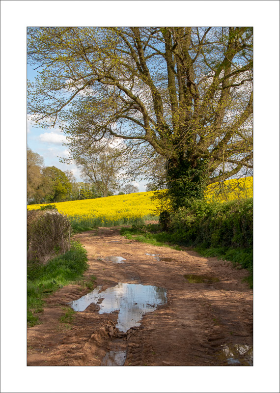 - Farnsfield