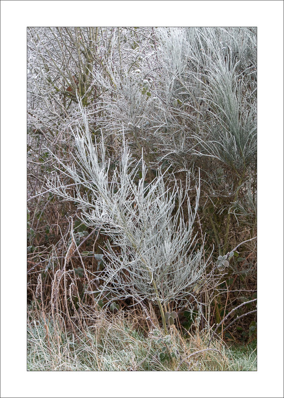  - Southwell Trail in Winter